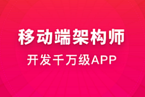 体系课_移动端架构师