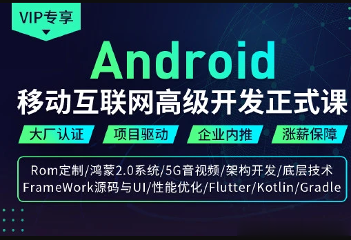 码牛 - 移动互联网高级开发正式课2期2021年价值6980元