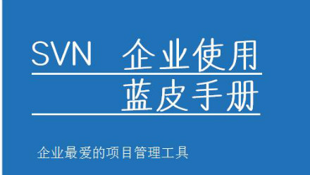 网易云-SVN互联网图文教程（0到企业开发）| 完结