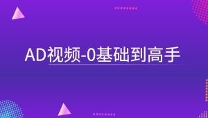 AD视频-0基础到高手
