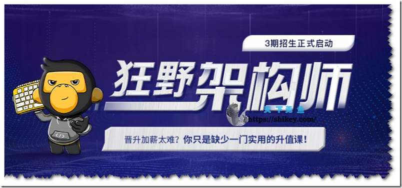 黑马 - 狂野架构师2022 (3期）| 更新完结