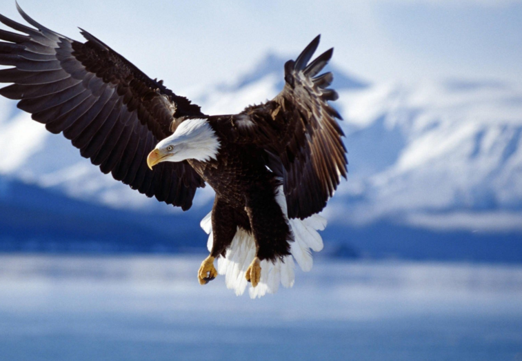 cto – 自然语言处理之动手学词向量（word embedding）视频教程 | 完结