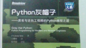 千峰 - Python灰帽子网络安全实践