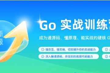 Go 实战训练营1期【完结】