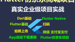 Flutter仿京东商城项目实战视频教程-支持最新的Flutter3.x 支持鸿蒙OS