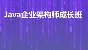 马士兵 - Java企业级架构师成长班