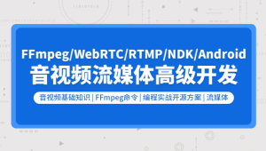 零声 - 音视频流媒体高级开发（FFmpeg6.0/WebRTC/RTMP/RTSP/编码解码）