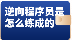 逆向程序员是怎么练成的
