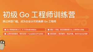 极客时间 - 初级go工程师训练营 | 更新至第10周