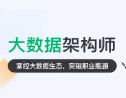 奈学 - P7大数据架构师五期价值26999元重磅首发