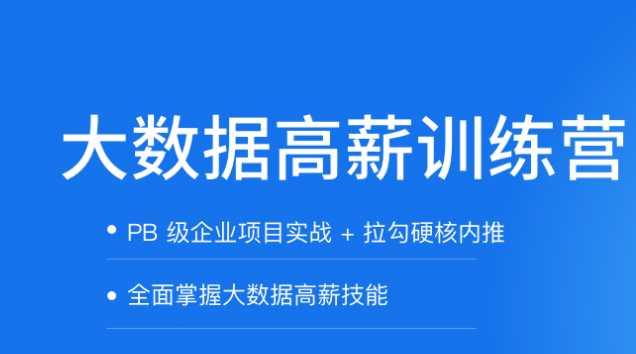 拉钩 - 大数据开发高薪训练营2021年完结无秘