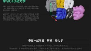 momentor曾神C4D课程合集