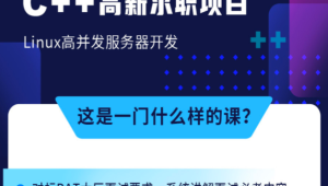 牛客 - C++高薪求职项目课程：Linux高并发服务器开发