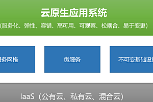小滴 - 云原生架构进阶：基于工业级PaaS云平台的Spring Cloud Alibaba和JDK 11综合项目实战