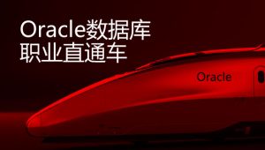 炼数成金 - Oracle职业直通车