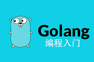 Go语言全栈开发基础+Golang图像存储业务+框架实操+Go的微服务 |完结无秘
