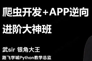 路飞学城 - 爬虫开发+APP逆向超级大神班1期-8期完结【2023年】