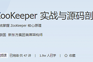 极客时间 - ZooKeeper实战与源码剖析