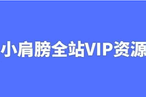 小肩膀 - 全站VIP课程合集（资料齐全） 750G 网盘无密