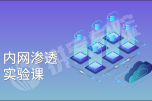 谢公子 - 内网参透视频教程