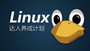  老男孩 - Linux系统运维74期