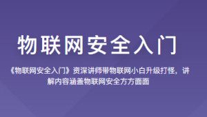看雪 - 物联网安全入门