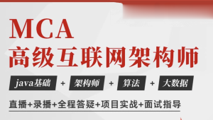 马士兵 - Java高级互联网架构师精英一班