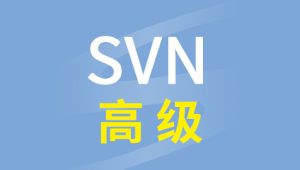 尚硅谷 - SVN高级视频