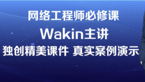 软考 - wakin谢斌华为数通全套HCIP HCIE HCIA