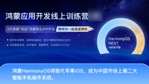 博学谷 - HarmonyOS NEXT鸿蒙（星河版）应用开发线上训练3期