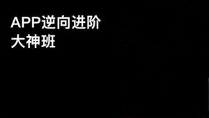 路飞 - 爬虫&超级逆向班第9期