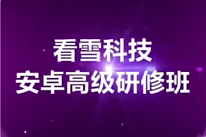 看雪 - 2024安卓高级研修班月薪3w