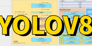 训练自己的数据集| yolov8目标检测项目实战
