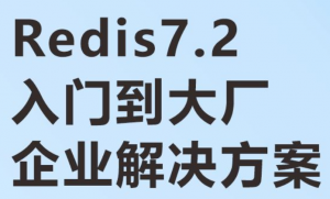 从入门到大厂企业解决方案 基于Redis7.2