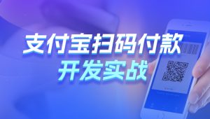 黑马 - Java支付宝扫码付款开发实战