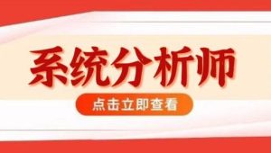 软考 - 2024高级系统分析师VIP套餐