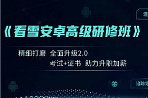 2024夏季班安卓高级研修班月薪两万计划