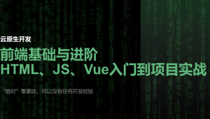 云原生 Vue3、Vite、Pinia、Axios、HTML、JS、CSS入门到项目实战
