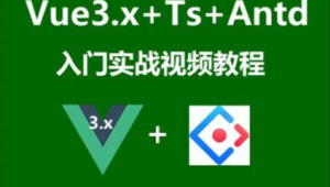 Vue3.x+Ts+Vuex+Antd Ui框架入门进阶视频教程
