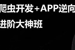 路飞 - APP逆向超级大神班第10期2024