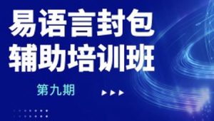  易语言封包辅助培训班第九期