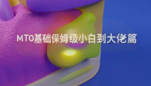  软件君 - MT 0基础保姆级小白到大佬篇