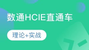 软考 - HCIE-阮维数通直通车2024