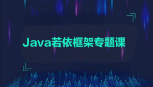  黑马 - 2024-Java若依框架专题课
