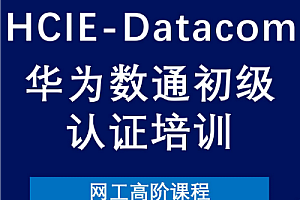 软考 - 数通-华为HCIE-Dadacom进阶班2024
