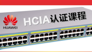 软考 - 华为认证网络工程师（HCIA）-路由交换视频教程（206节）