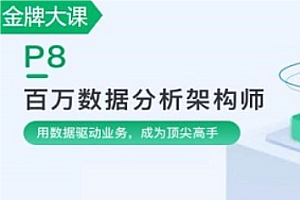 奈学 - P7数据分析架构师保薪班