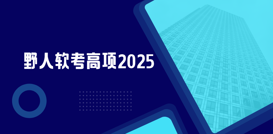 软考 - 野人高项2025|赠送往期