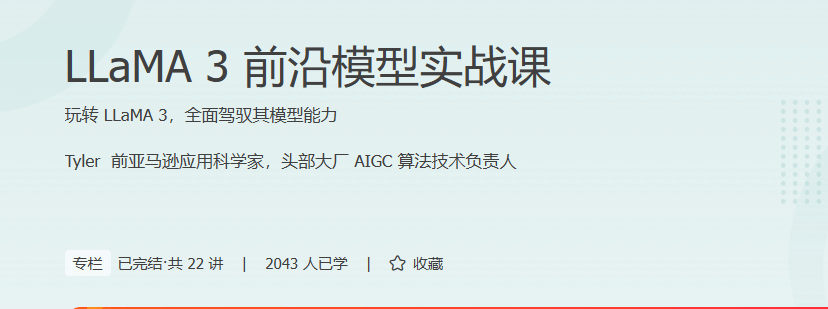 极客时间 - LLaMA3前沿模型实战课