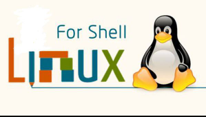  Linux Bash Shell实用编程视频课程